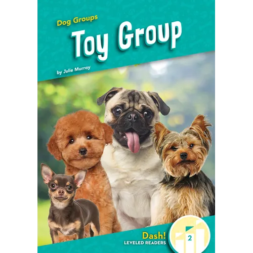 Toy Group