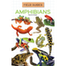 Amphibians