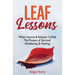 Leaf Lessons: When Trauma & Religion Collide, The Process of Spiritual Awakening & Healing
