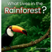 What Lives in the Rainforest?: A rhythmic journey through the rainforest-designed for every learner.