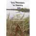 Live Pterosaurs in America: Not extinct, flying creatures of cryptozoology that some call pterodactyls or flying dinosaurs or prehistoric birds