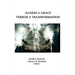 Illness & Grace, Terror & Transformation