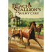 The Black Stallion's Sulky Colt