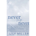 Never Say Never: A small town frienemies to lovers, spicy romance