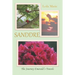 Sanddre: The Journey Emerald's Travels