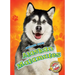 Alaskan Malamutes Alaskan Malamutes