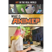 What Is Anime?