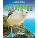 Albatross