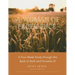 A Woman of Excellence: A Four-Week Study through the Book of Ruth and Proverbs 31