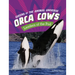 Orca Cows: Leaders of the Pod