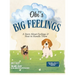 Obi's Big Feelings: A Story About Feelings and How to Handle Them