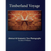 Timberland Voyage: Tree Abstract & Symmetry Art Photography