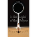 In the Light of the Eclipse
