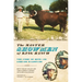 The Master Showmen of King Ranch: The Story of Beto and Librado Maldonado