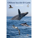 Offshore Sea Life ID Guide: East Coast
