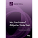 Mechanisms of Adiponectin Action