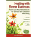 Healing with Flower Essences: How to Use Natural Botanicals for Spiritual and Emotional Well-Being