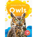 Owls