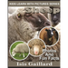 Sheep: Photos and Fun Facts for Kids