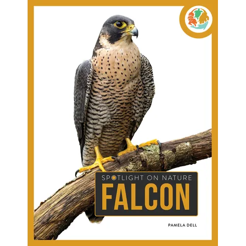 Falcon