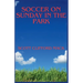 Soccer On Sunday In The Park