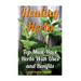Healing Herbs: Top Must-Have Herbs With Uses and Benifits