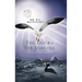 The Duck & the Seagull: A Tale of Two Friends