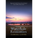 Waterhole Economies: The Only Economies That Never Collapsed