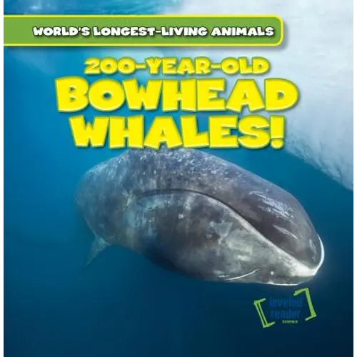 200-Year-Old Bowhead Whales!
