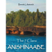 The 7 Clans of the Anishinaabe