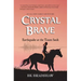 Crystal Brave: Earthquake at the Taum Sauk