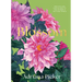 Blossom: Practical and Creative Ways to Find Wonder in the Floral World