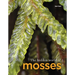 The Hidden World of Mosses