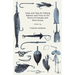 Tales and Tips for Fishing Salmon and Trout in the Rivers of Canada and Nova Scotia