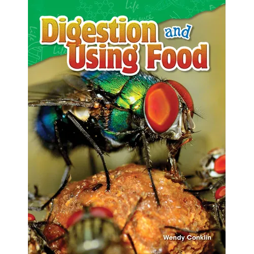 Digestion and Using Food
