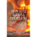 From little acorns a Phoenix rises.