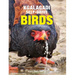 Kgalagadi Self-Drive Birds