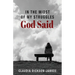 In the Midst of My Struggles God Said