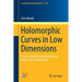 Holomorphic Curves in Low Dimensions: From Symplectic Ruled Surfaces to Planar Contact Manifolds