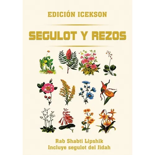 Segulot y Rezos