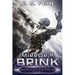 Mirror's Brink: A Grimdark Post-Apocalyptic Epic