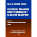 Derechos y garantías constitucionales y la acción de amparo. Tomo X. Colección Tratado de Derecho Constitucional