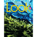 Look 3 (British English)