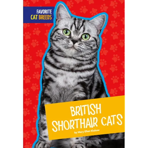 British Shorthair Cats