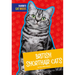 British Shorthair Cats