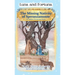 The Missing Nativity of Speranzamonte: An Italian Christmas Story