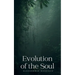 Evolution of the Soul