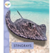 Stingrays