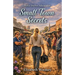 Small Town Secrets: Horse Doctor Adventures
