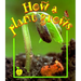 How a Plant Grows